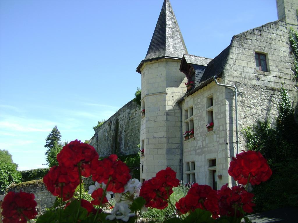 Le Petit Hureau Saumur Exteriör bild