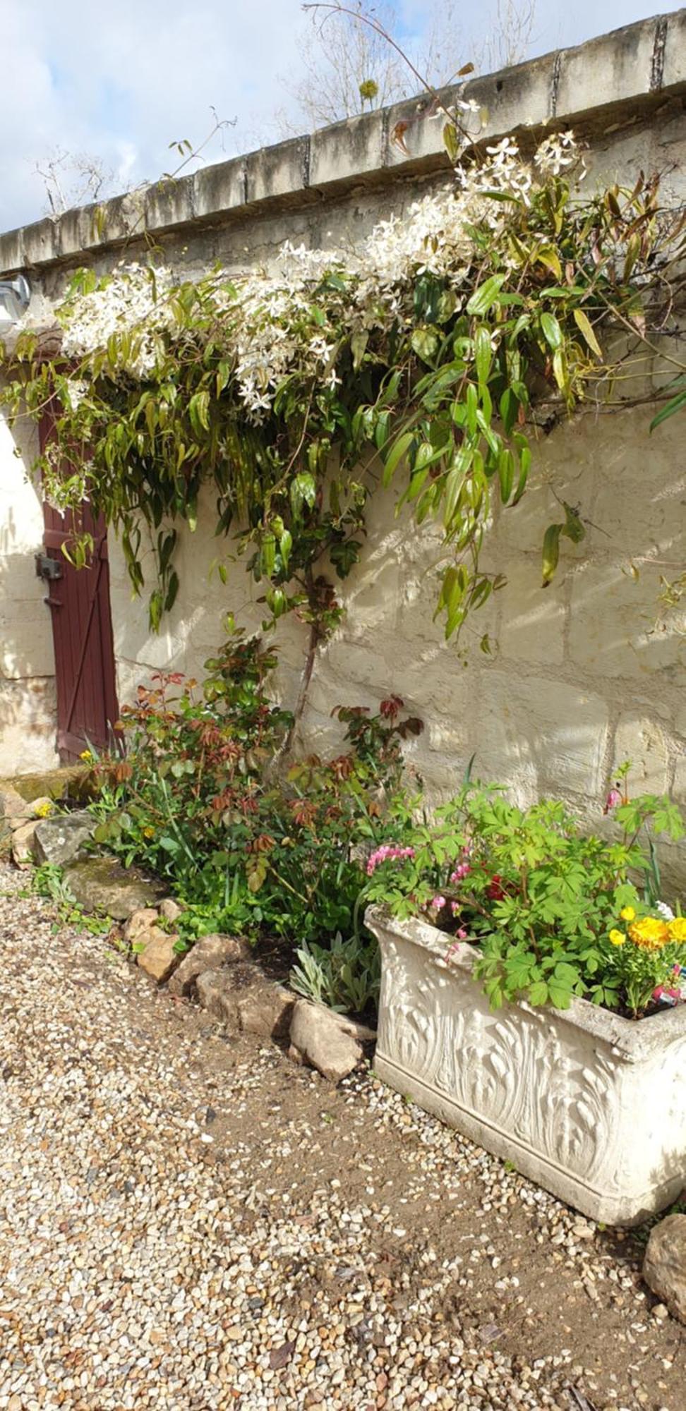 Le Petit Hureau Saumur Exteriör bild