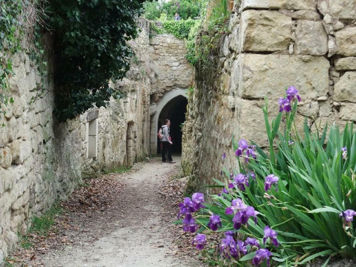 Le Petit Hureau Saumur Exteriör bild